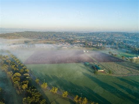 thin fog figgerits